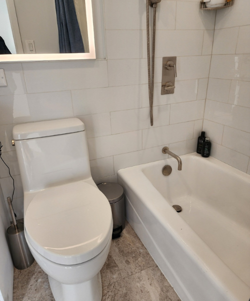 A white toilet sitting next to a bath tub